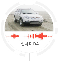실차RLDA